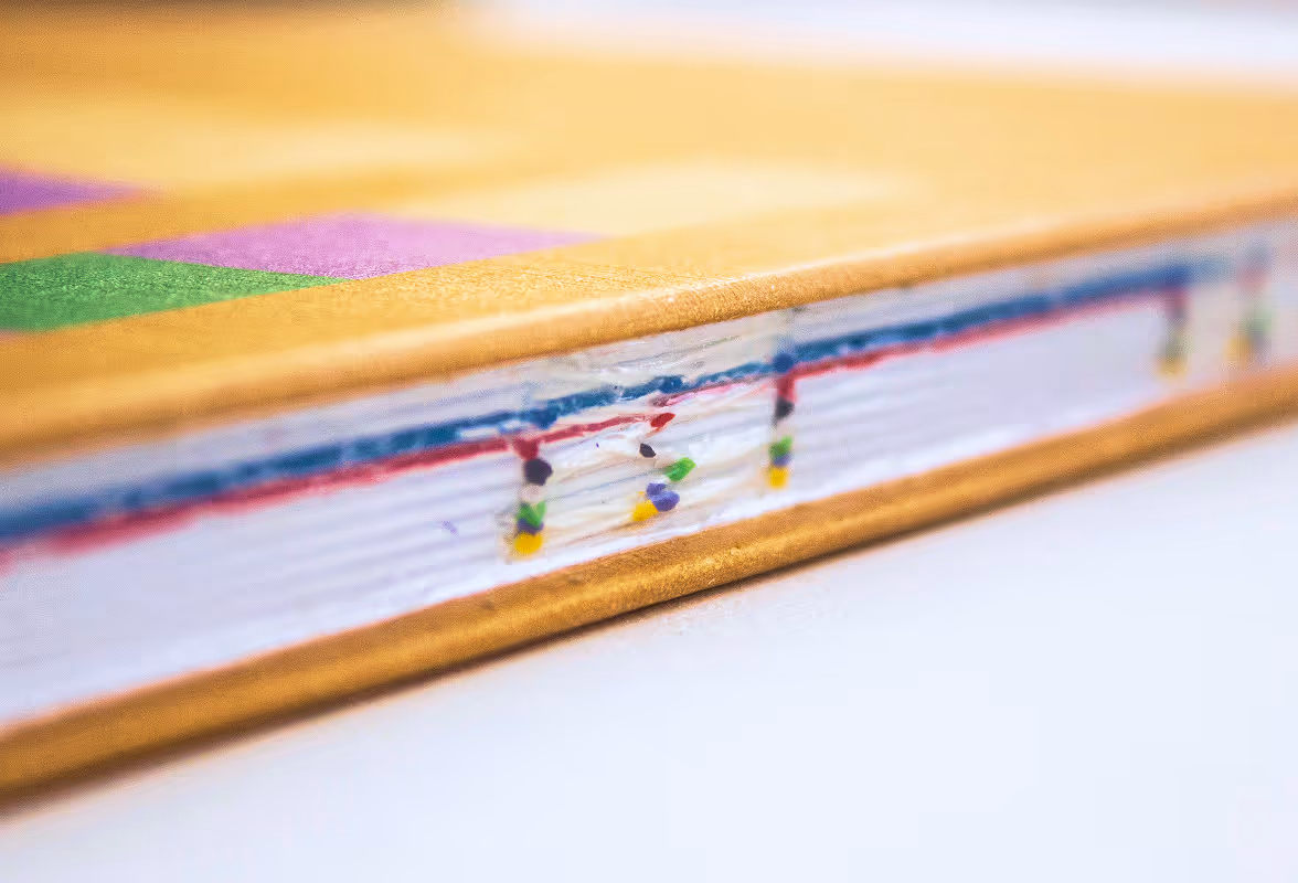Close up (even closer) of the spine to show detail of the thread.