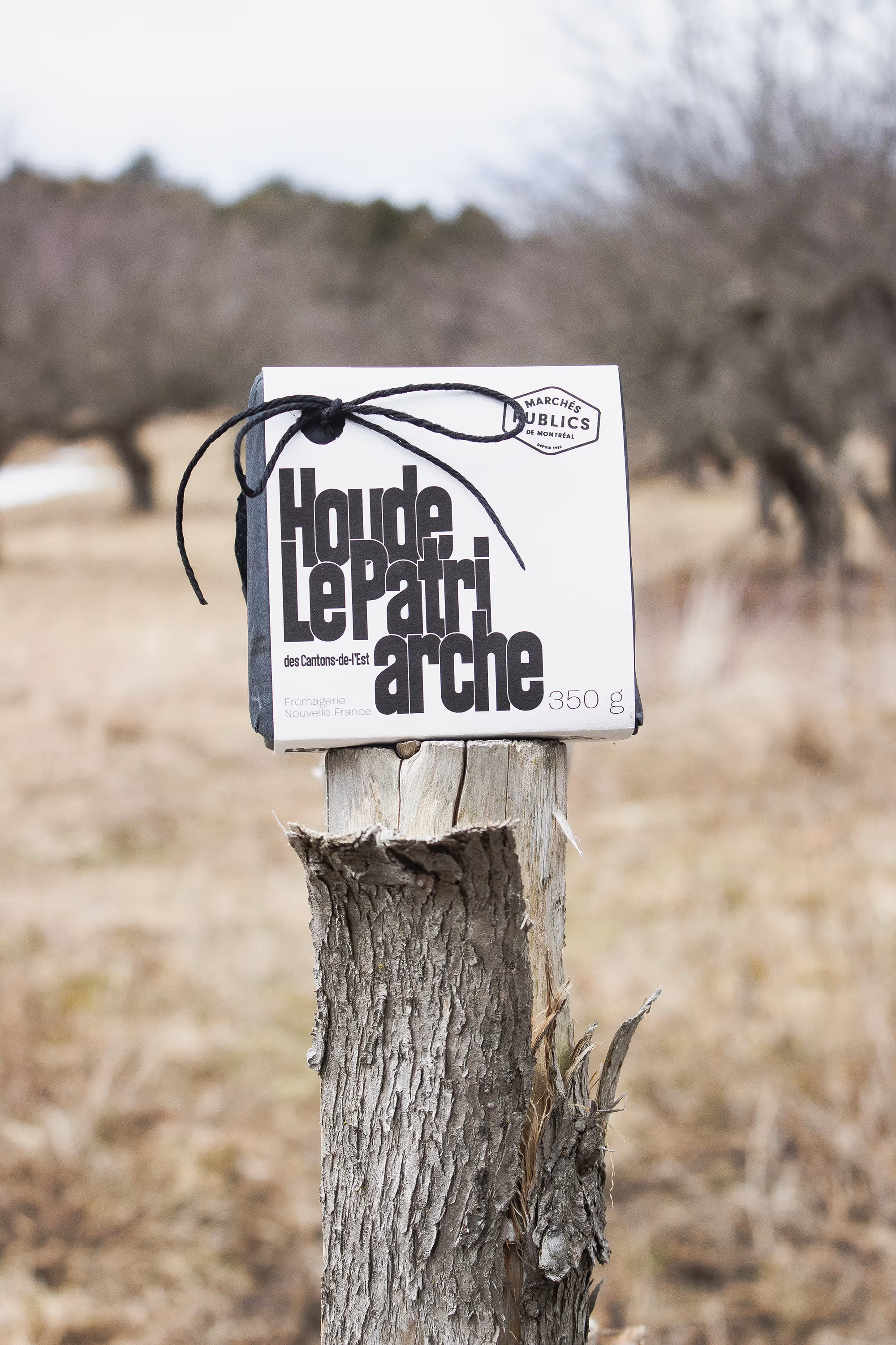 Vertical shot of Houde le Patriarche sitting atop a rural/farm wooden pole. Cold, muted, bright lighting, blurred background.