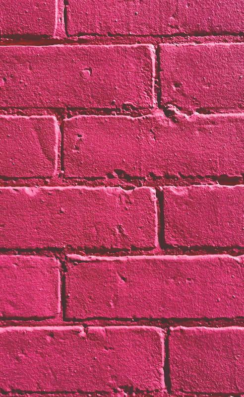 Close up of a magenta brick wall. Picture found on Unsplash, shot by Shirqille Tisi